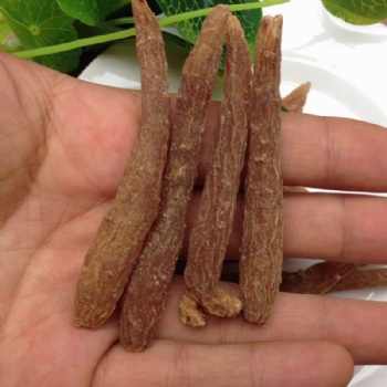 Red Ginseng Root