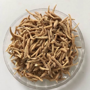 Radix Pesudostellariae