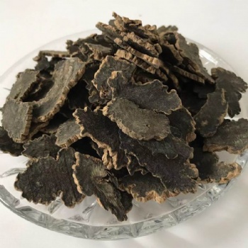 Radix Scrophulariae