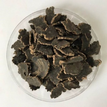Radix Scrophulariae