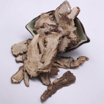 Angelica Root