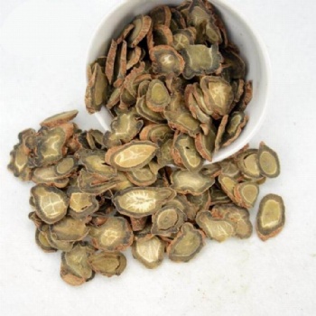 Panax Notoginseng