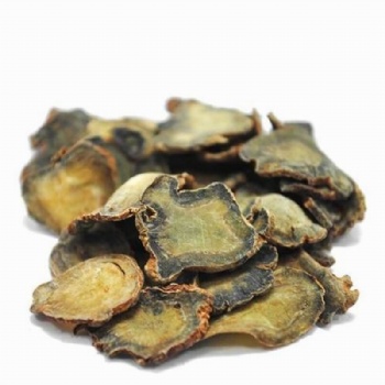 Panax Notoginseng
