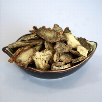 Panax Notoginseng