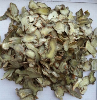 Panax Notoginseng