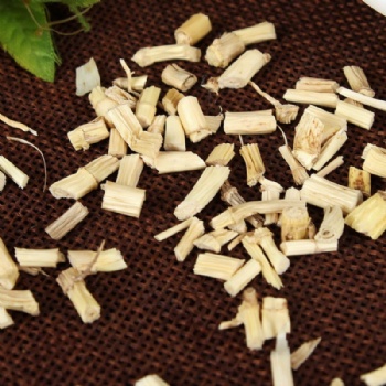 Cogongrass Rhizome