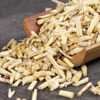 Cogongrass Rhizome