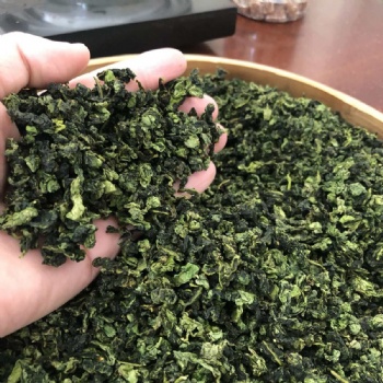 Oolong Tea